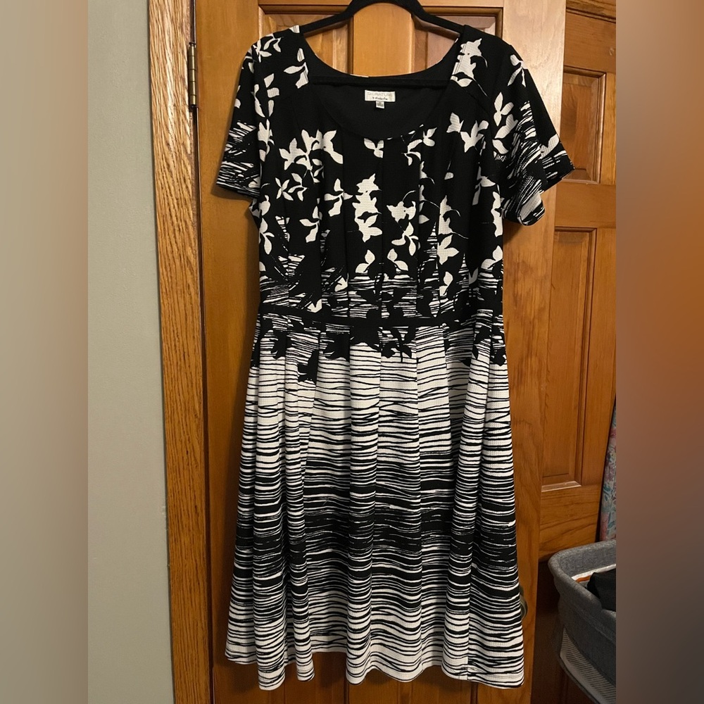 Signature by Robbie Bee Dress